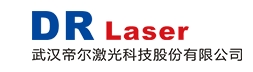武汉帝尔